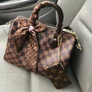 Louis Vuitton Speedy 25 Damier ebene